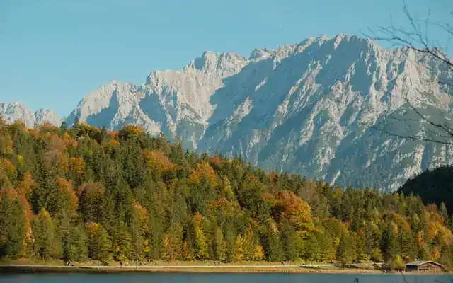 Autumn forest in gold and green below rocky mountains by a lake near Mittenwald, Bavaria